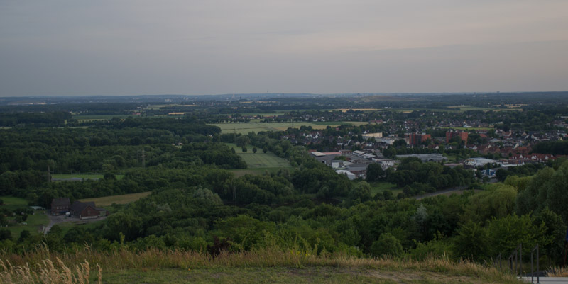 DSC_0210